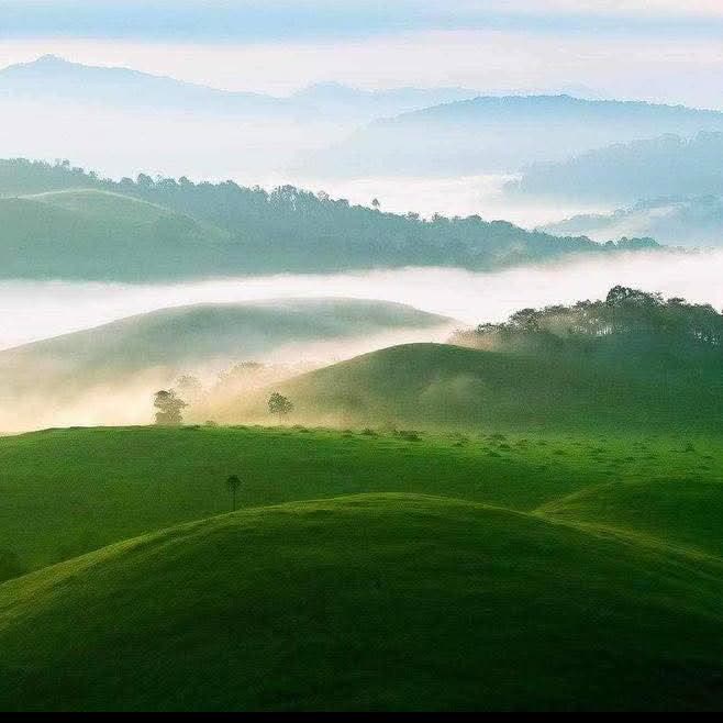 PEACEFUL NATURE SOURD🌏🌲
