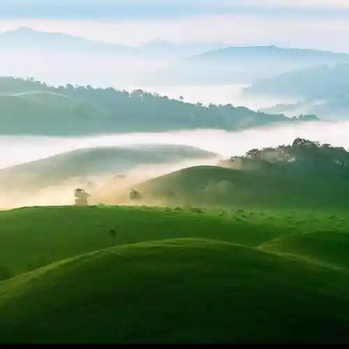 PEACEFUL NATURE SOURD🌏🌲