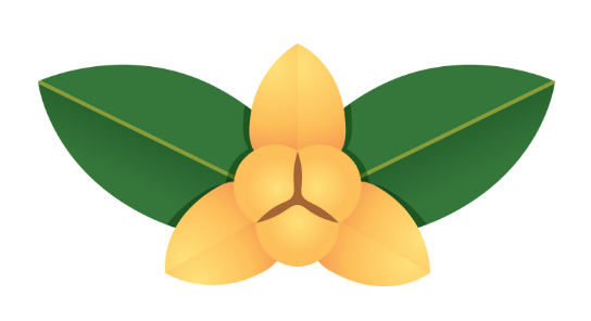 Gift Image