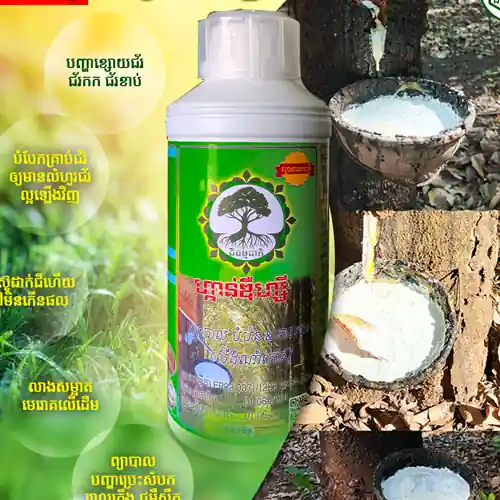 VKSN CO., LTD