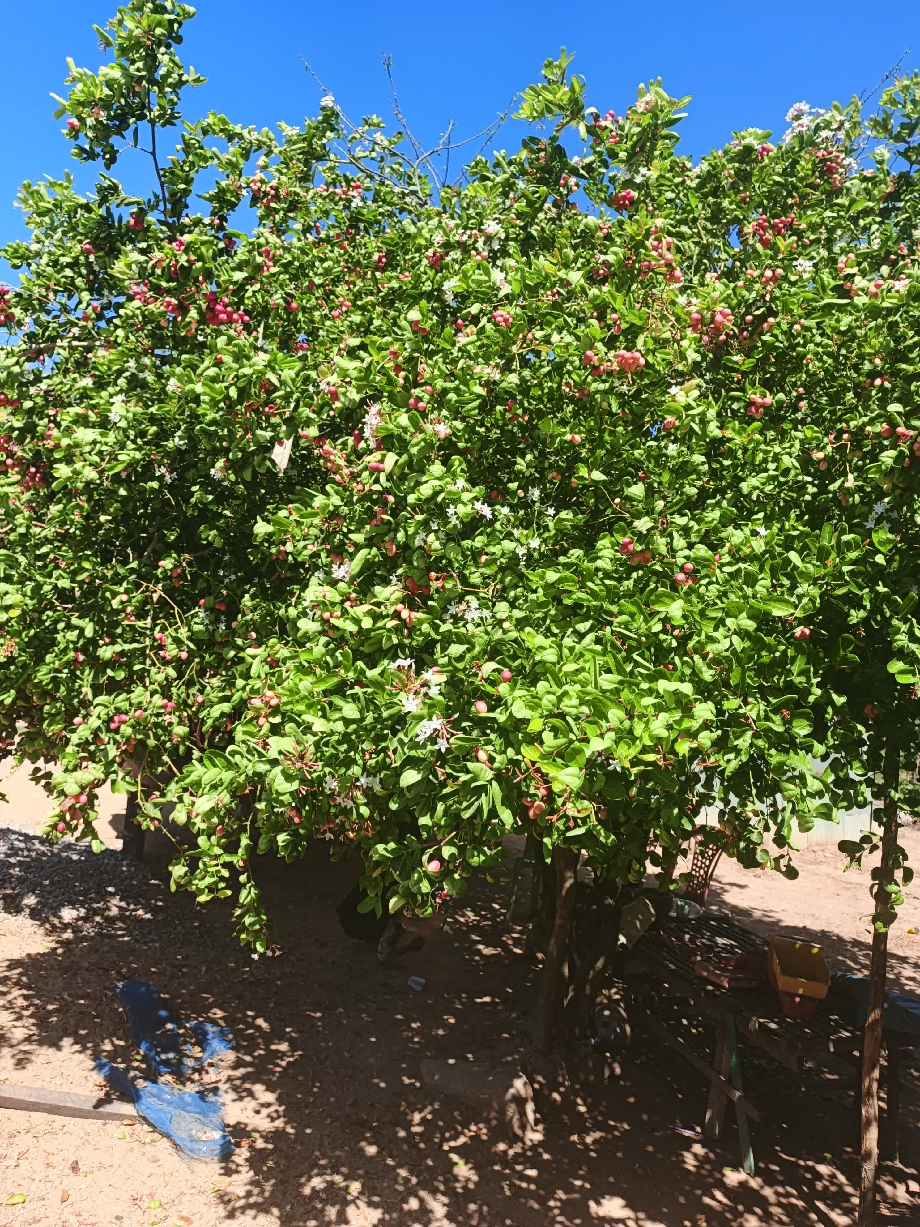 Nature  Post