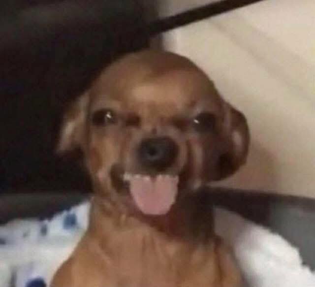 Youern Long