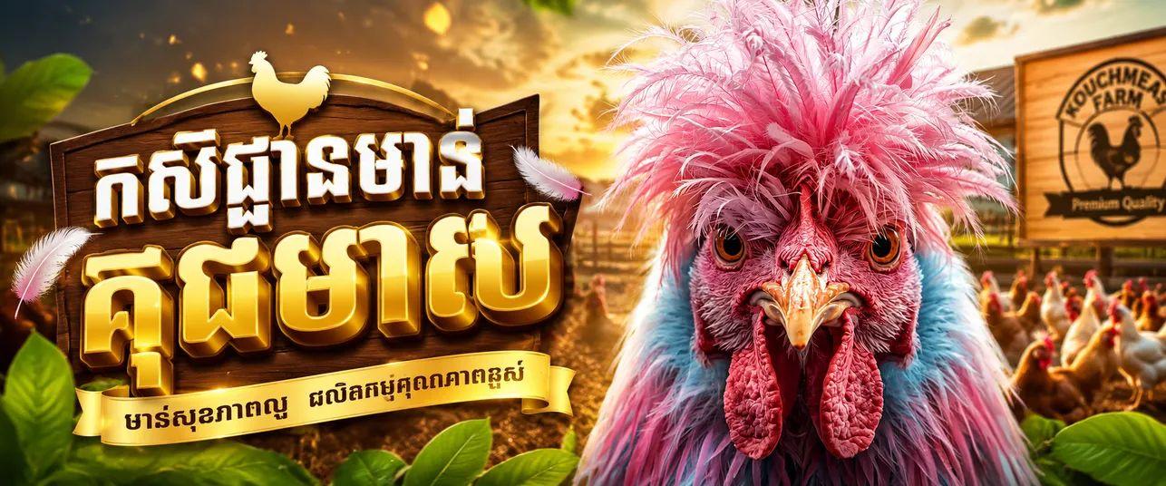 កសិដ្ឋានមាន់