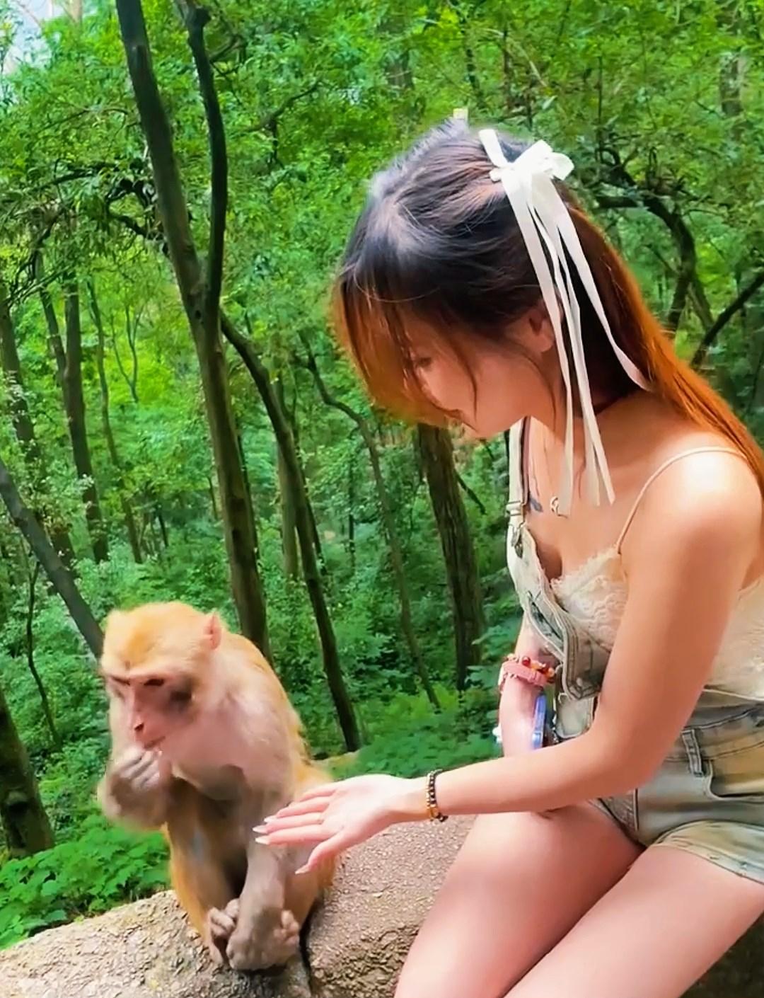 Monkey Love