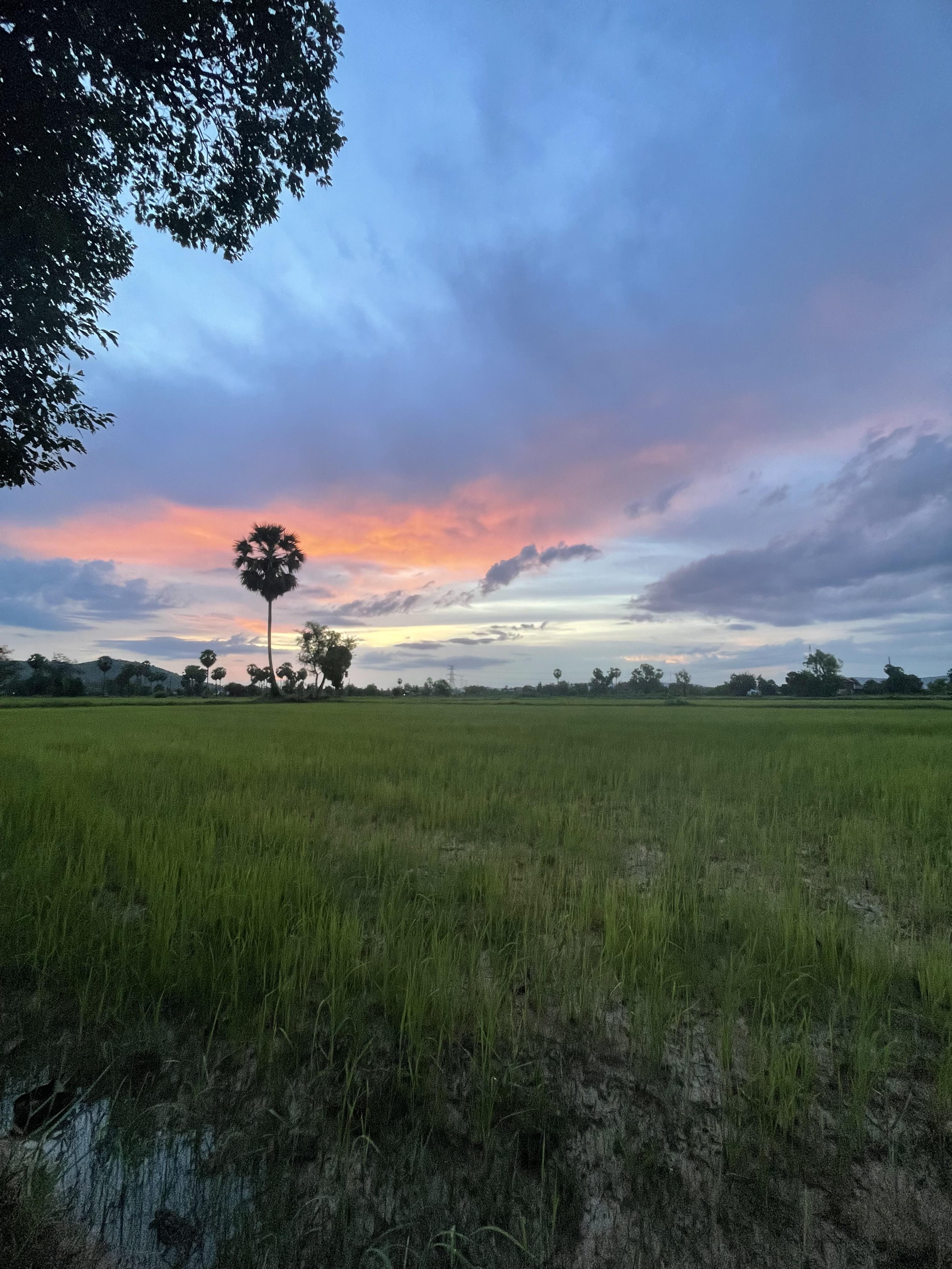 Pich Sokhim