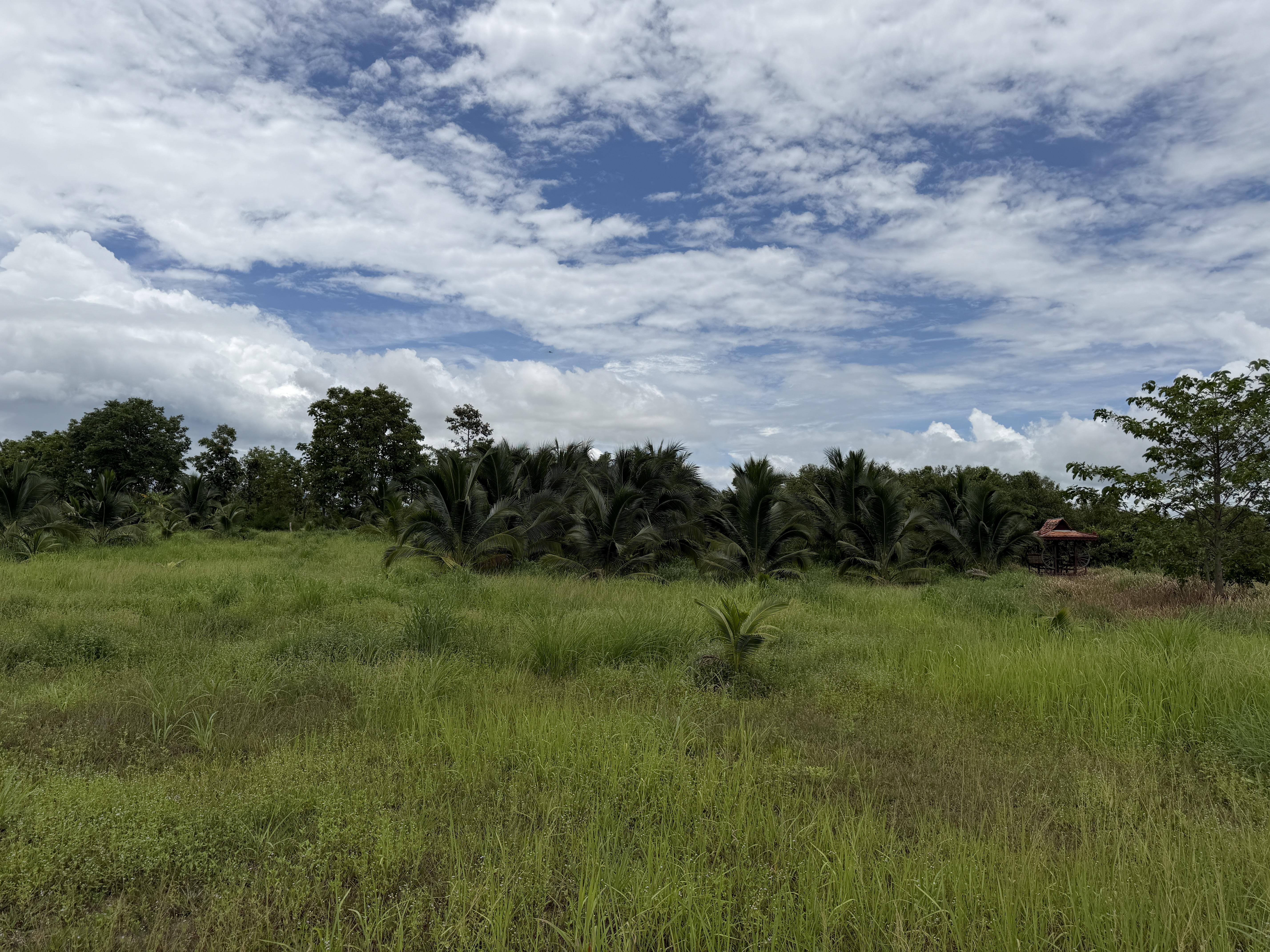 PLK Farms