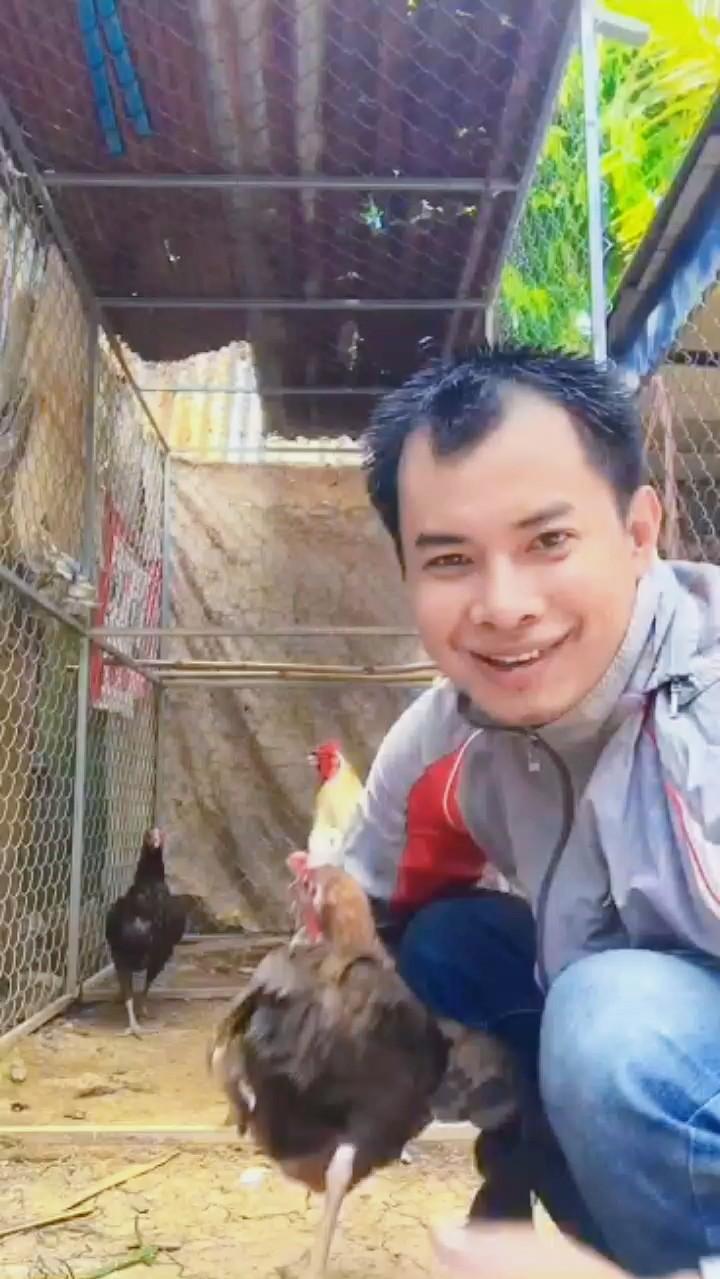 KH KpK MengHorn